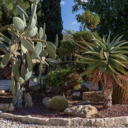 Vila Anassa Kouklia